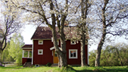 Forårsmotiv fra ødegården